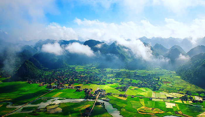 hoa binh